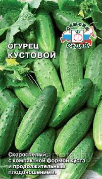 Огурец КУСТОВОЙ, 0.5г