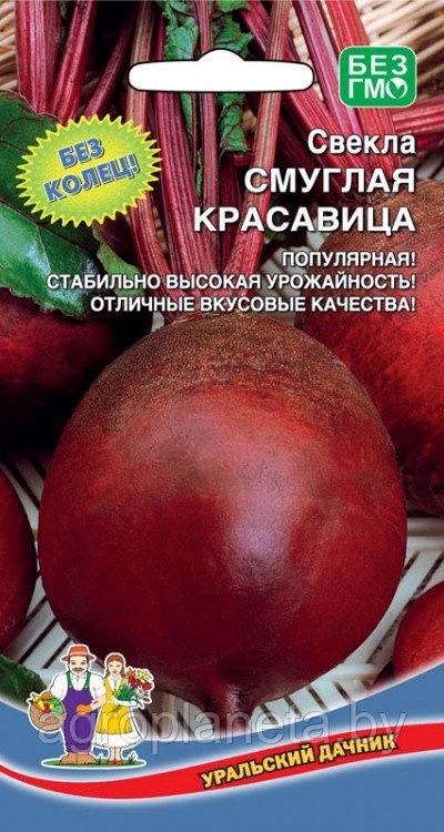 Свёкла СМУГЛАЯ КРАСАВИЦА, 2 г