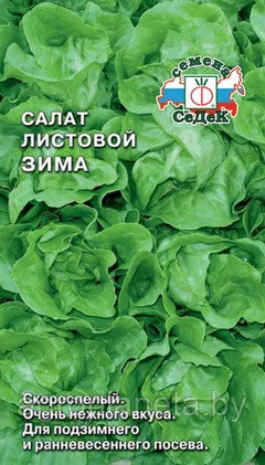 Салат ЗИМА, 0.5г