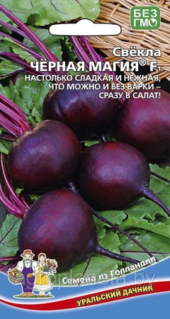 Свёкла ЧЁРНАЯ МАГИЯ® F1, 2 г